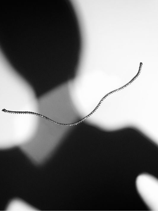 Paul Scala photography