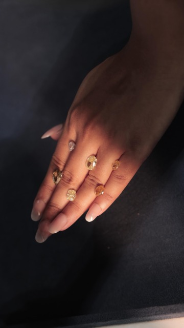 From surprising facts to personal favourites, guests shared what fascinated them most about natural diamonds.

A glimpse inside the De Beers Natural Diamond Masterclass, where conversations turned curiosity into appreciation for nature’s most extraordinary creation.

#NaturalDiamonds #HeeraHaiSadaKeLiye #DeBeersGroup #NaturalDiamondMasterclass

[Natural Diamonds, Diamond Masterclass, De Beers Event, Diamond Discovery, Luxury Jewellery]