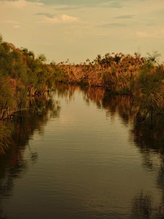 A water body during sunset