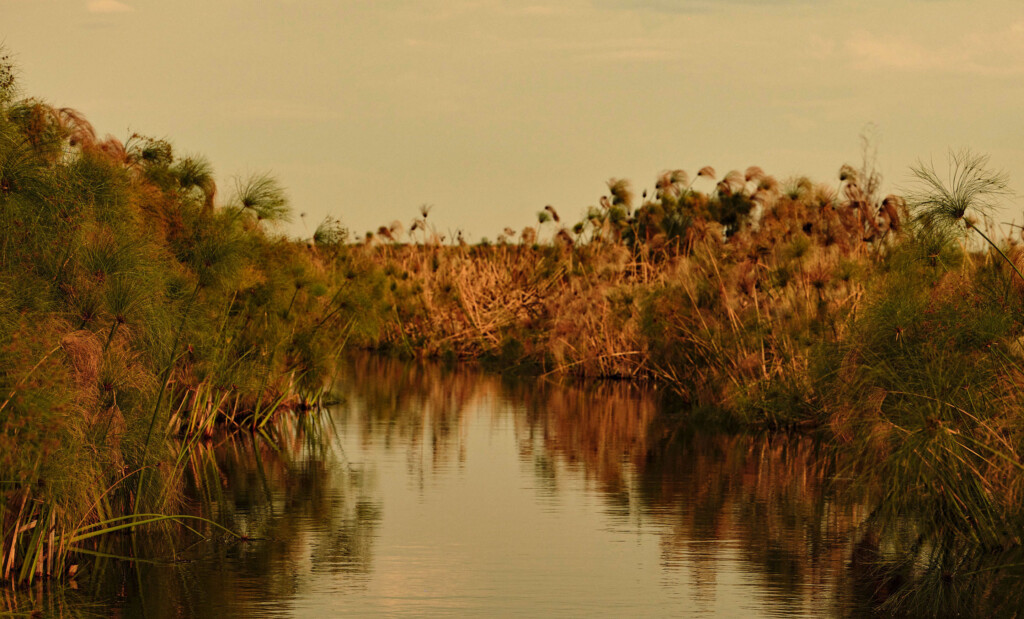 Okavango Delta in Botswana