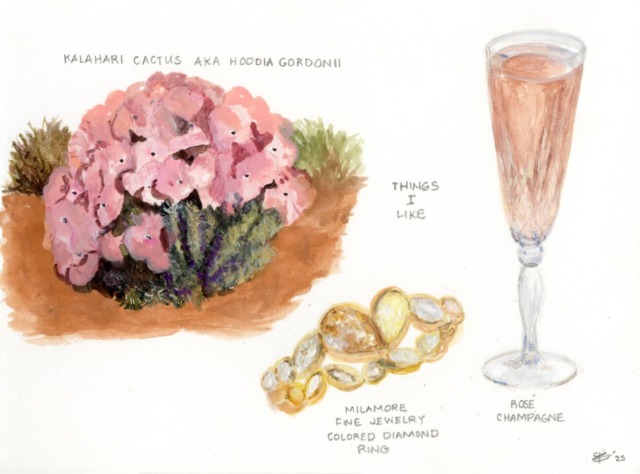 Things I like
watercolor and gouache on paper
One of the beauties in the world, to me, are the various colors of plants and flowers that grow around the world.
No matter how bare a terrain may feel or look, there will always be a little flower poking out, facing the sun.
Reminding me about the seasons and the universe and my small part in it.
Gorgeous pink cactus sprouting in the desert.
Mimicking the sunsets and colors in the desert surroundings.
Did you know that diamonds come in all of those colors?
A pale pinky peach colored diamond, like a glass of sparkling rosé.
A yellow, gold colored diamond, like the sun on the sand.
Each grain of the desert carrying a story.
These special gifts from the earth are here to remind us of our place here in the world.
The Desert diamonds are here to capture our imaginations and connect us to one another.
Love,
Rachael x ADIF
#desertdiamonds