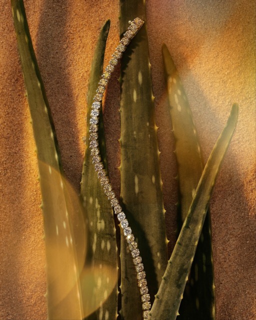 A reminder that #desertdiamonds bloom from the Earth.
💎: @kayjewelers @levian_jewelry @uniform_object