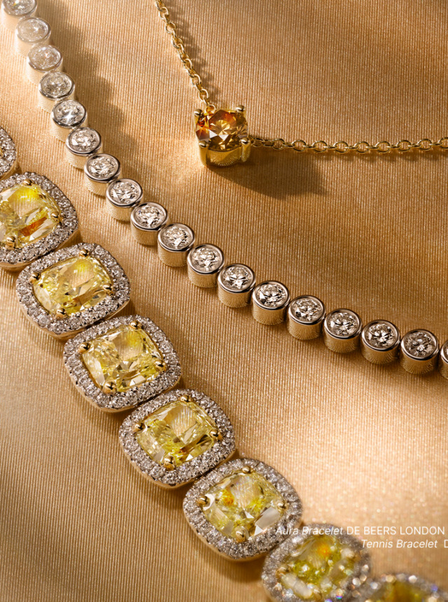 DD Header Image 3