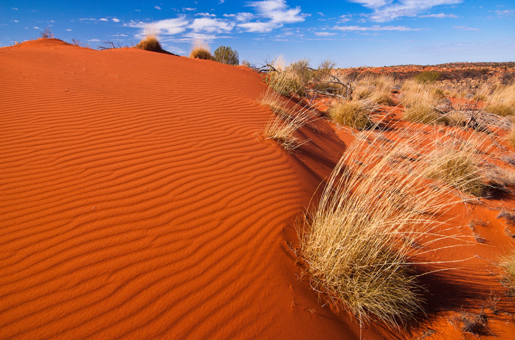 Australian Northern Territory Desert Landscape