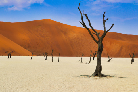 The mystical allure of the desert