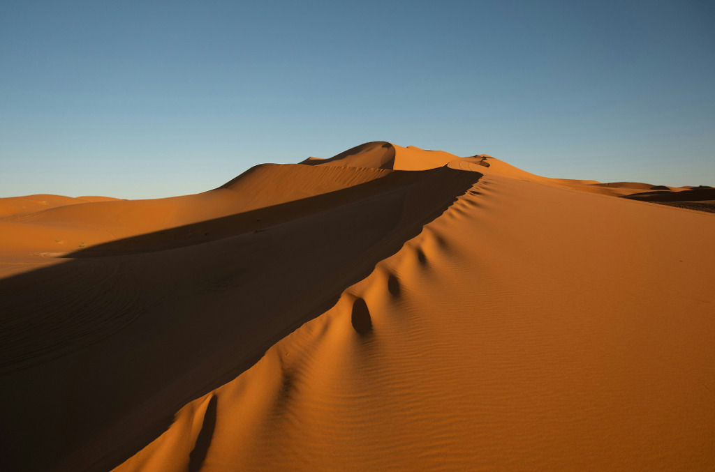 The Sahara Desert