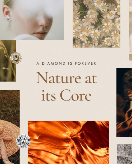 Asset 7 Nature at the core Lead Image 1600 x 675px 2