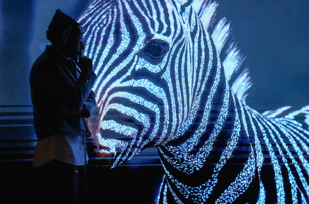 ADIF Frieze Dinner Zebra Exhibit 01