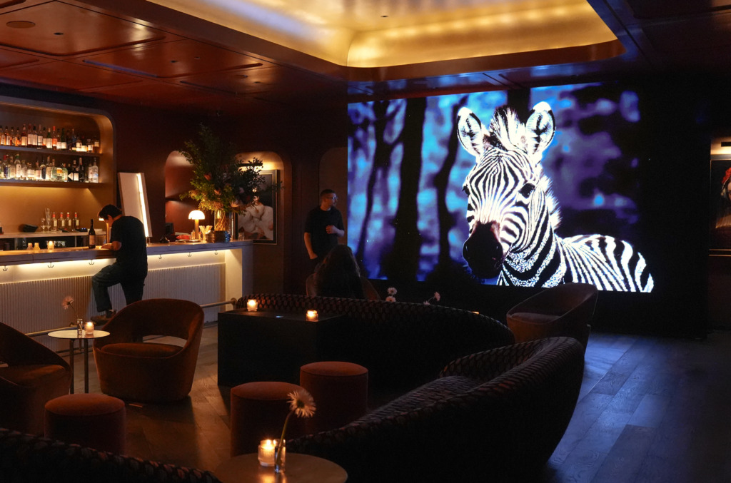 ADIF Frieze Dinner Zebra Exhibit 02