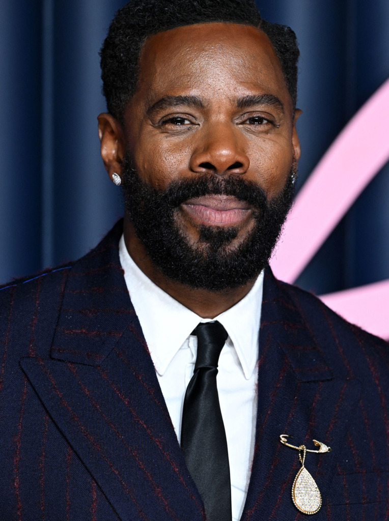 Brooches For Men Colmon Domingo Alamy