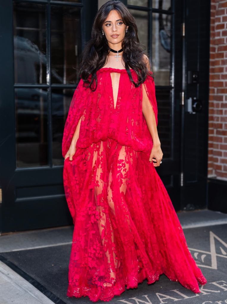 Taylor Swift Wedding Camila Cabello