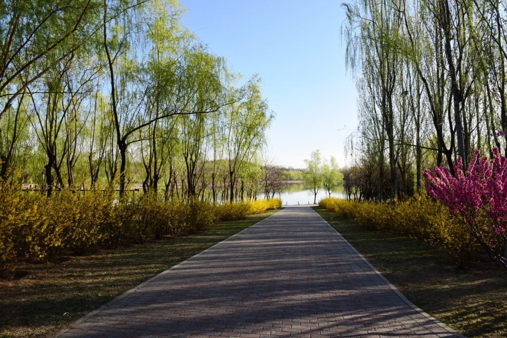 北京京郊奥林匹克森林公园