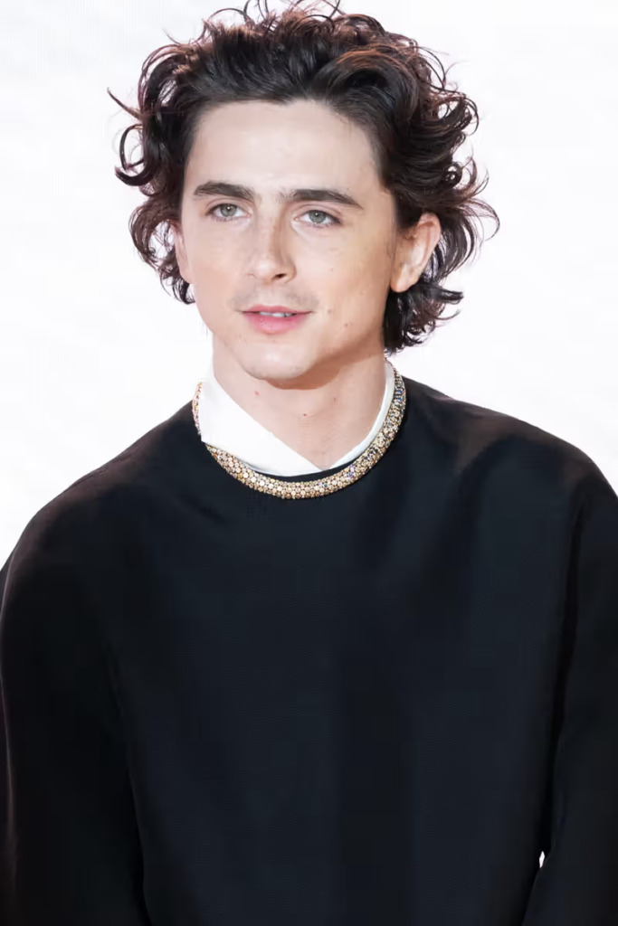 Timothée Chalamet 佩戴鑽石頸鍊