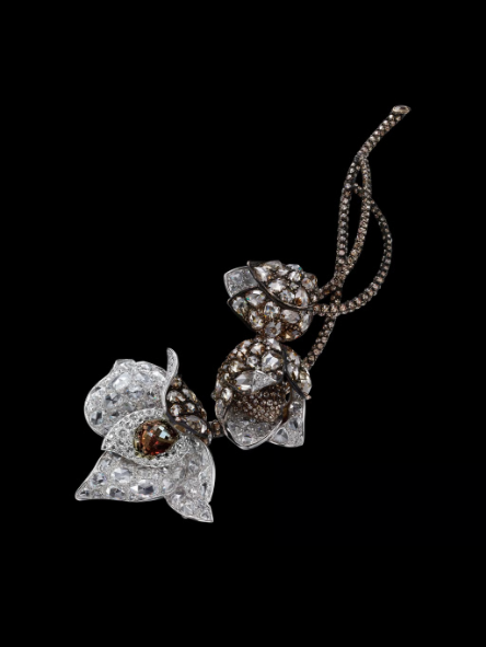 Carnet Jewellery Wondorous Diamond Woodrose胸针