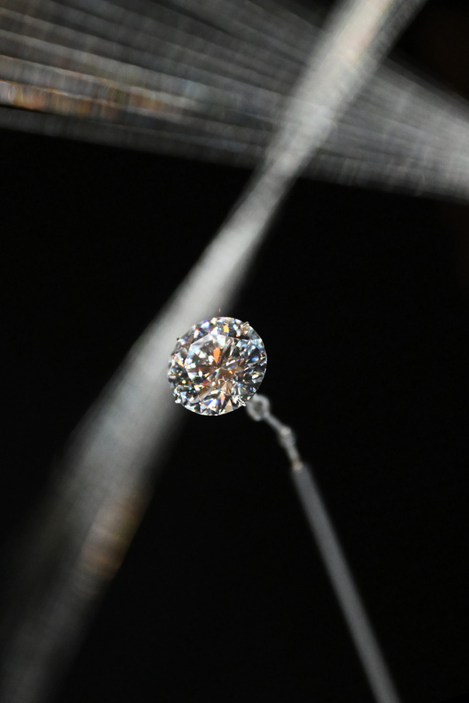 The De Beers Jwaneng 28.88 天然鑽石